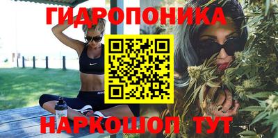 гидропоника Тула