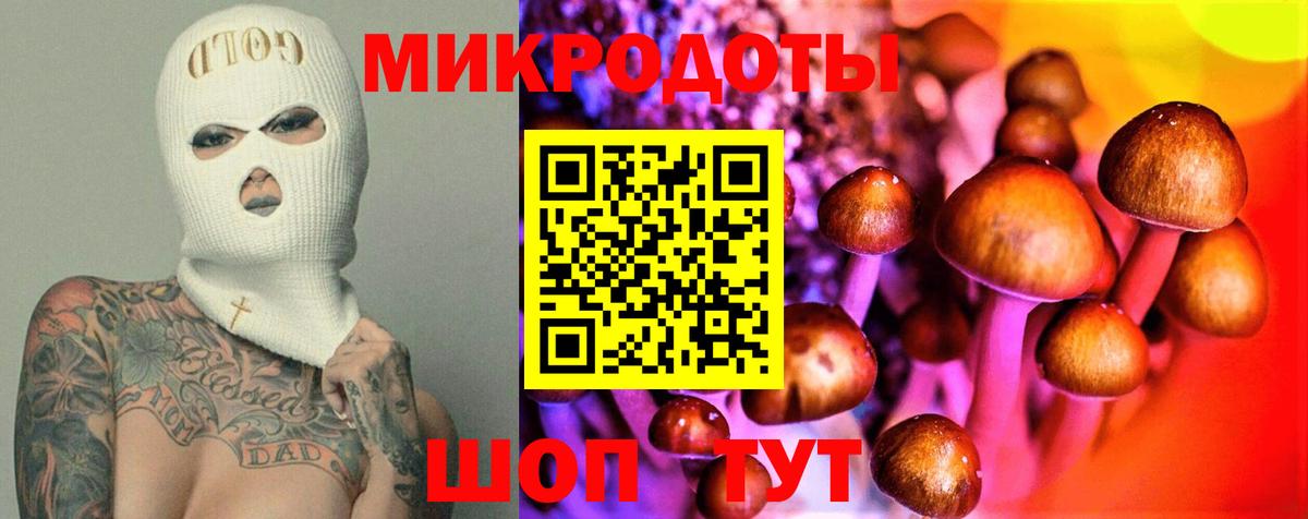 Кировск  Псилоцибиновые грибы мицелий  Вход с VPN  Галлюциногенные грибы Psilocybe 